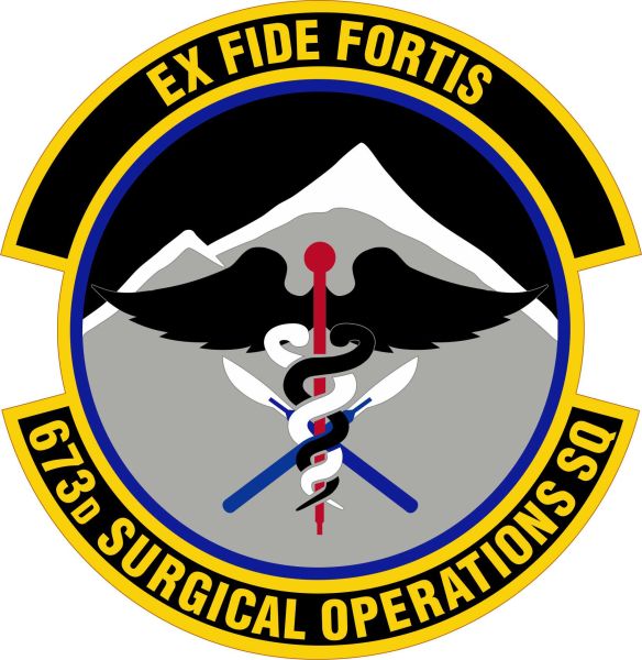 File:673rd Surgical Operations Squadron, US Air Force.jpg