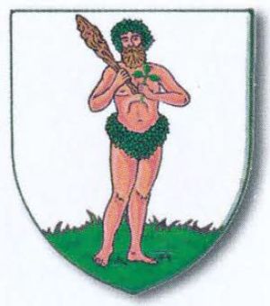 Arms of Simon Braunman