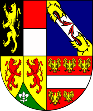 Arms of Antonius Salamanca-Hoyos