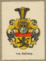 Wappen von Salburg
