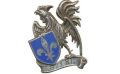 67th Infantry Regiment, French Army.jpg