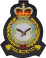 No 659 Squadron, AAC, British Army.jpg