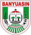 Banyuasin.jpg