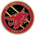 MWSS-471,USMC.jpg