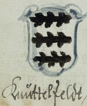 Arms of Knittelfeld