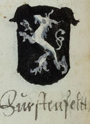 Coat of arms (crest) of Fürstenfeld