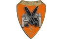 Reconnaissance and Support Company, 67th Infantry Regiment, French Army.jpg