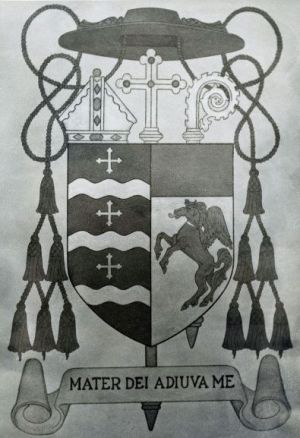 Arms of William Charles Quinn