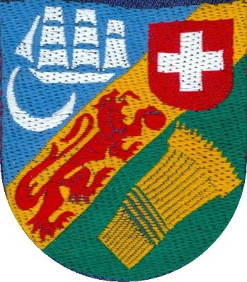 Arms of Province Alger, Scouts de France