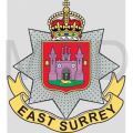 The East Surrey Regiment, British Army.jpg