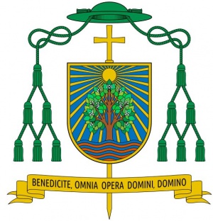 Arms of László Nemet