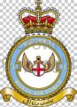 No 14 Squadron, Royal Air Force.jpg