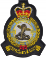 No 670 Squadron, AAC, British Army.png
