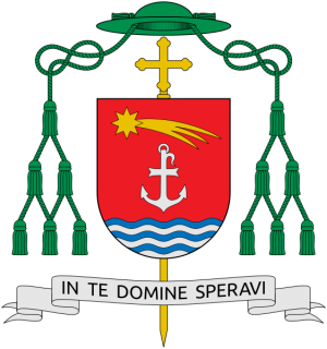 Arms of Livio Corazza
