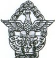 55th Pozański Infantry Regiment, Polish Army.jpg