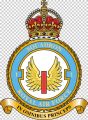 No 1 Squadron, Royal Air Force1.jpg