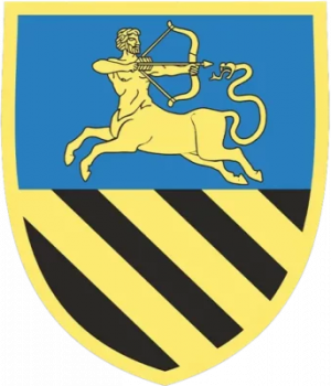 452nd Independent Rifle Battalion, Ukrainian Army.png