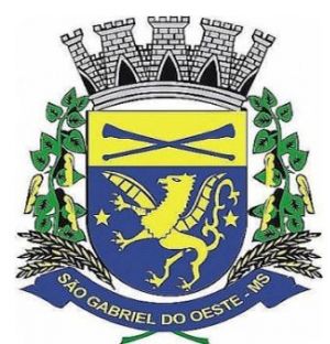 Arms (crest) of São Gabriel do Oeste