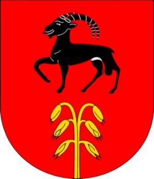 Arms of Bidogno