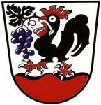 Arms of Scheffau]] Scheffau (Scheidegg) a former municipality, now part of Scheidegg, Germany