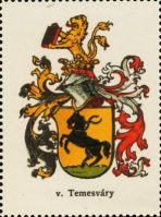 Wappen von Temesváry