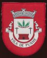 Brasão de Vila de Punhe/Arms (crest) of Vila de Punhe