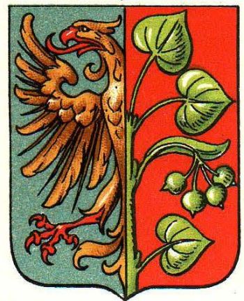 Coat of arms (crest) of Fryštát