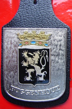 Wapen van/Blason de Buggenhout