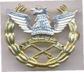 Pakistan Army Aviation, Pakistan Army.jpg