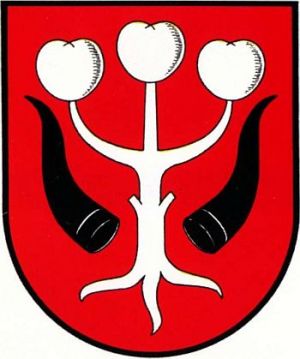Coat of arms (crest) of Garwolin