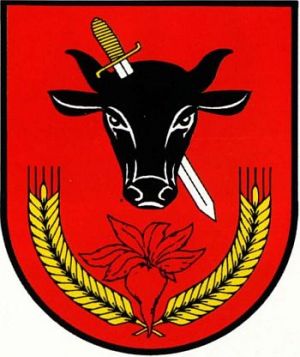 Arms of Kazimierza Wielka