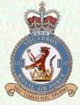 No 110 Squadron, Royal Air Force.jpg