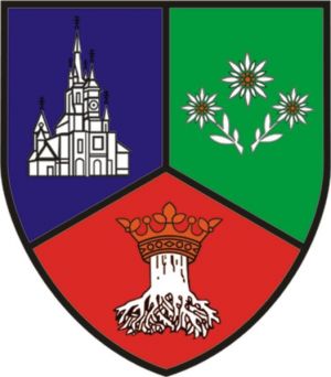 Stema Brașov (county)
