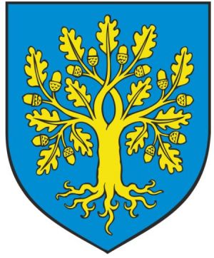 Arms of Malinska-Dubašnica