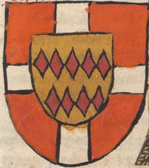 Arms of Jan van Virneburg