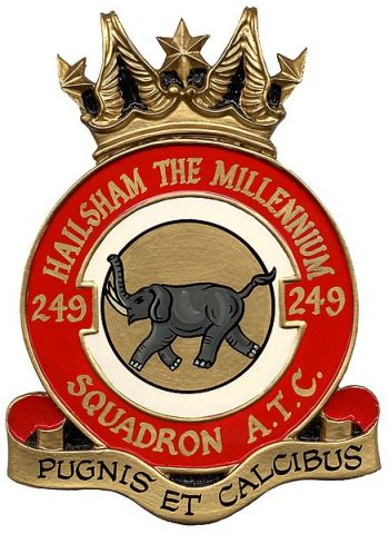Coat of arms (crest) of the No 149 (Hailsham) Squadron, Air Training Corps