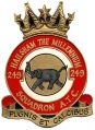 No 149 (Hailsham) Squadron, Air Training Corps.jpg