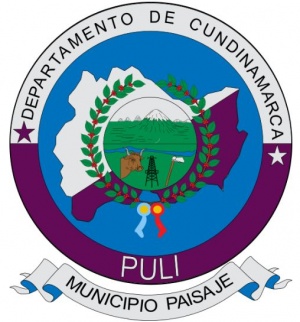 Escudo de Pulí