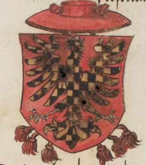 Arms of Lucido Conti