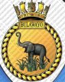 HMS Bulawayo, Royal Navy.jpg