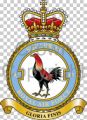 No 43 Squadron, Royal Air Force.jpg