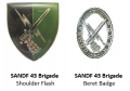 43 Brigade, South African Army.png