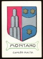 arms of the Montano family