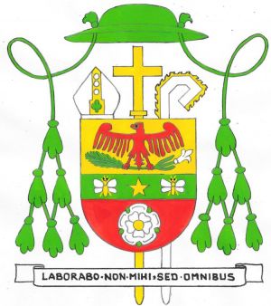 Arms of Patrick Fernandez Flores