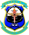 Instrument Air Training Group No 7, Air Force of Venezuela.png