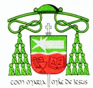 Arms of Vicente Joaquim Zico