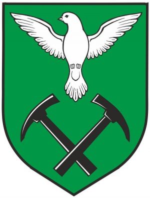Arms of Novi Golubovec