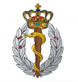 Defence Medical Command, Denmark.png