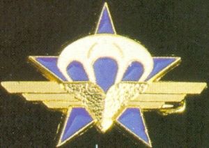 Coat of arms (crest) of the 1st Parachute Chasseur Regiment, French Army