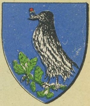 Arms of Hunedoara (county)
